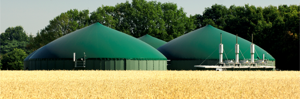 biogas in europa